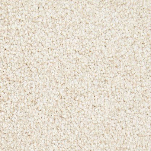 Inviting Charisma in Blonde Oak