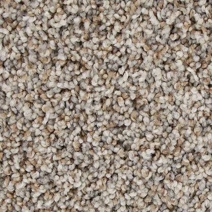 Color Harmony II in Colonial Ash Carpet