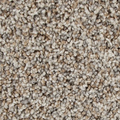 Color Harmony II in Colonial Ash Carpet