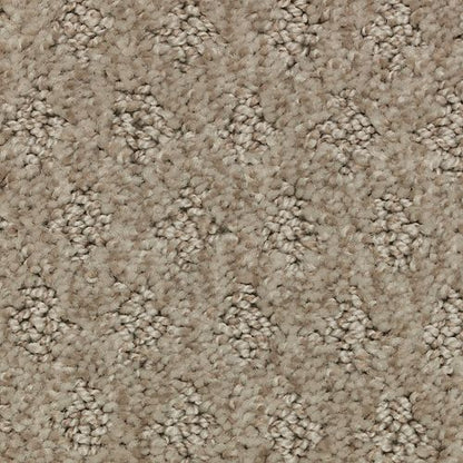 Bountiful Elegance in Alpaca