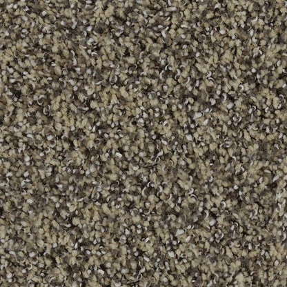 Luxurious Blend in Timeless Carpet