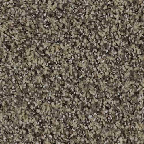Luxurious Blend in Timeless Carpet