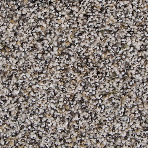 Charming Qualities in Ravine Carpet