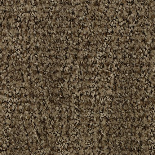 Popular Style in Tightrope Carpet