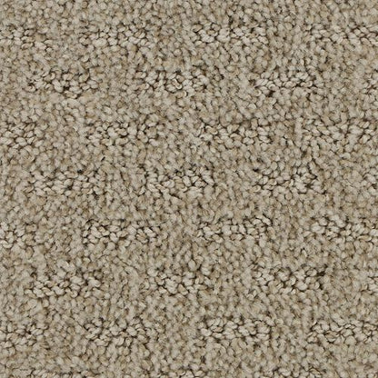 Attractive Trend in Dignified Carpet