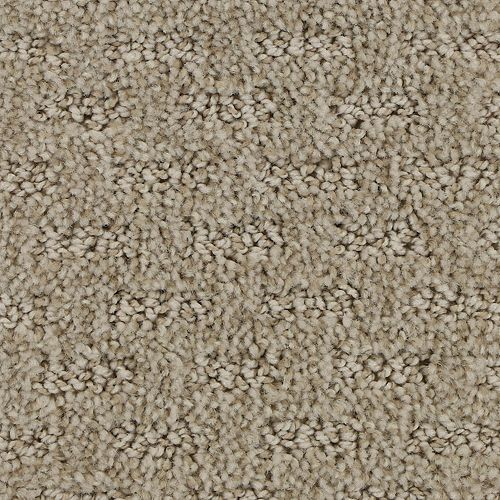 Attractive Trend in Dignified Carpet