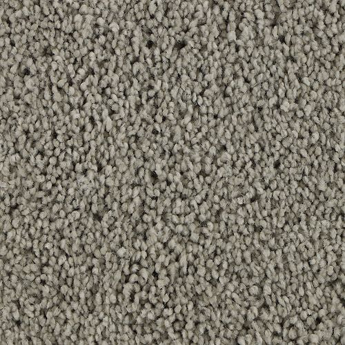 Delicate View in Hazy Stratus Carpet