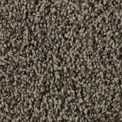 Sincere Tones in Universal Carpet