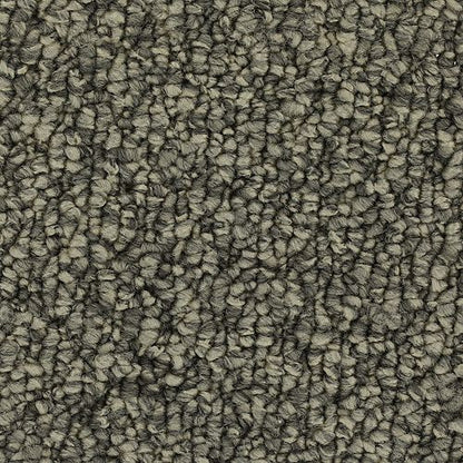 Enduring Classic in Classic Silver Carpet