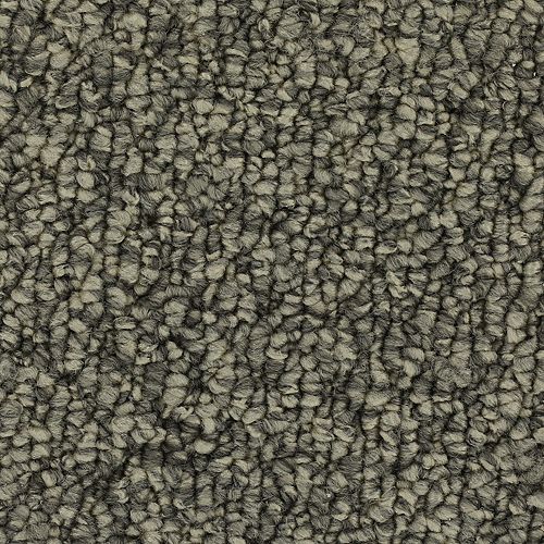 Enduring Classic in Classic Silver Carpet