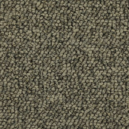 Inviting Comfort in Heathery Tint Carpet