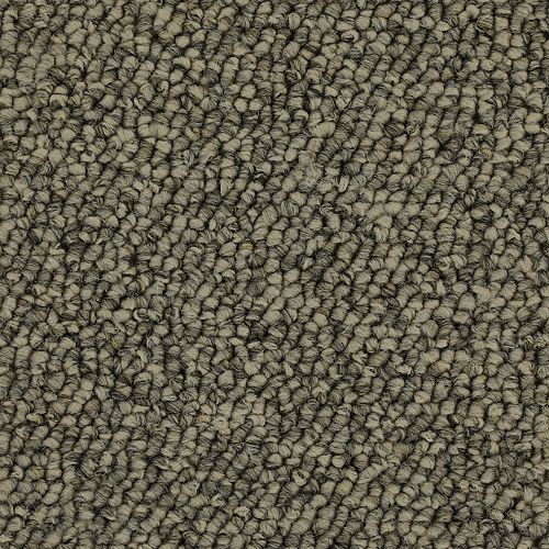 Inviting Comfort in Heathery Tint Carpet