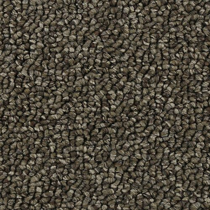 Endless Glamour in Perfect Taupe Carpet