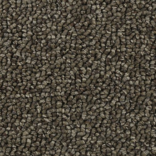 Endless Glamour in Perfect Taupe Carpet