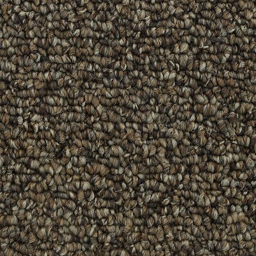 Endless Excitement in Copper Tones Carpet