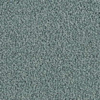 Coastal Vision I