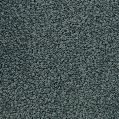 Coastal Vision I