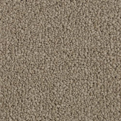 Coastal Vision I