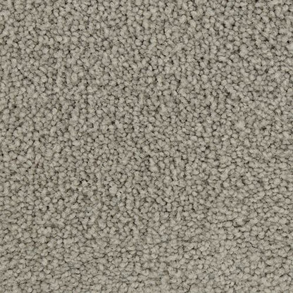 Coastal Vision I