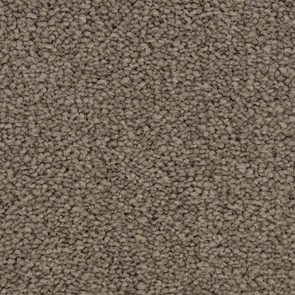 Coastal Vision I