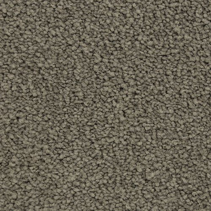 Coastal Vision I in Dolphin Carpet