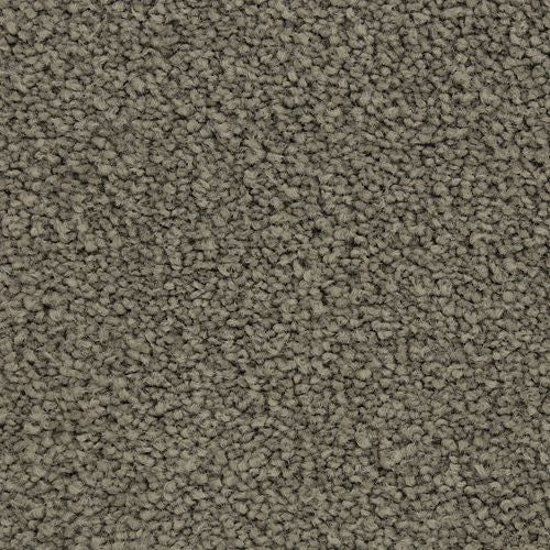 Coastal Vision I in Dolphin Carpet