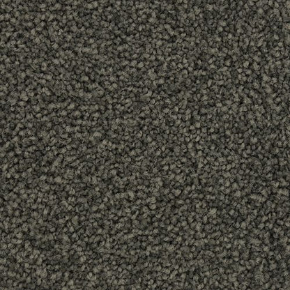 Coastal Vision I