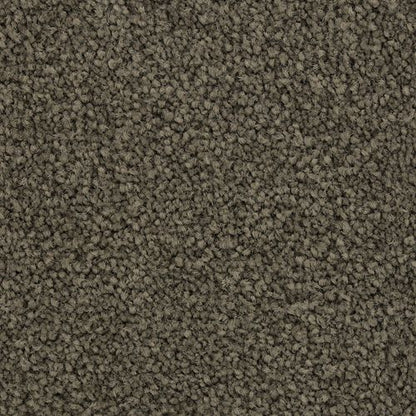 Coastal Vision I