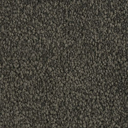 Coastal Vision I