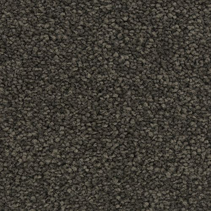 Coastal Vision I