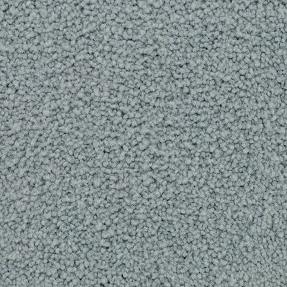 Coastal Vision II