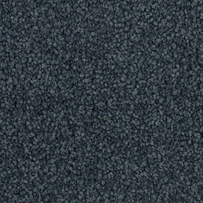 Coastal Vision II