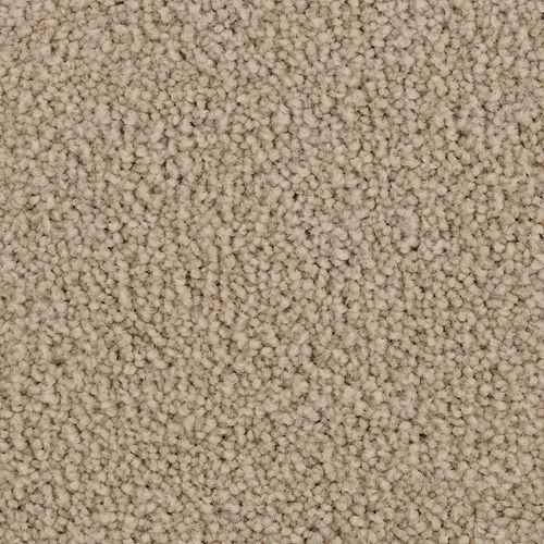 Coastal Vision II in Destin Beach Carpet