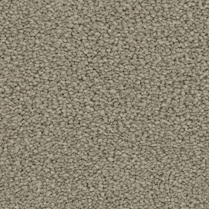 Coastal Vision II