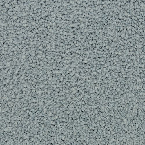 Coastal Vision III in Refreshing Carpet