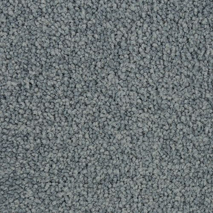 Coastal Vision III