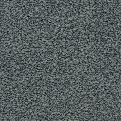Coastal Vision III