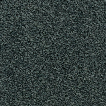 Coastal Vision III