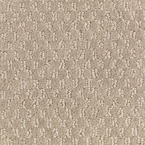 Jameson Crossing in Mushroom Cap Carpet