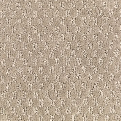 Jameson Crossing in Mushroom Cap Carpet