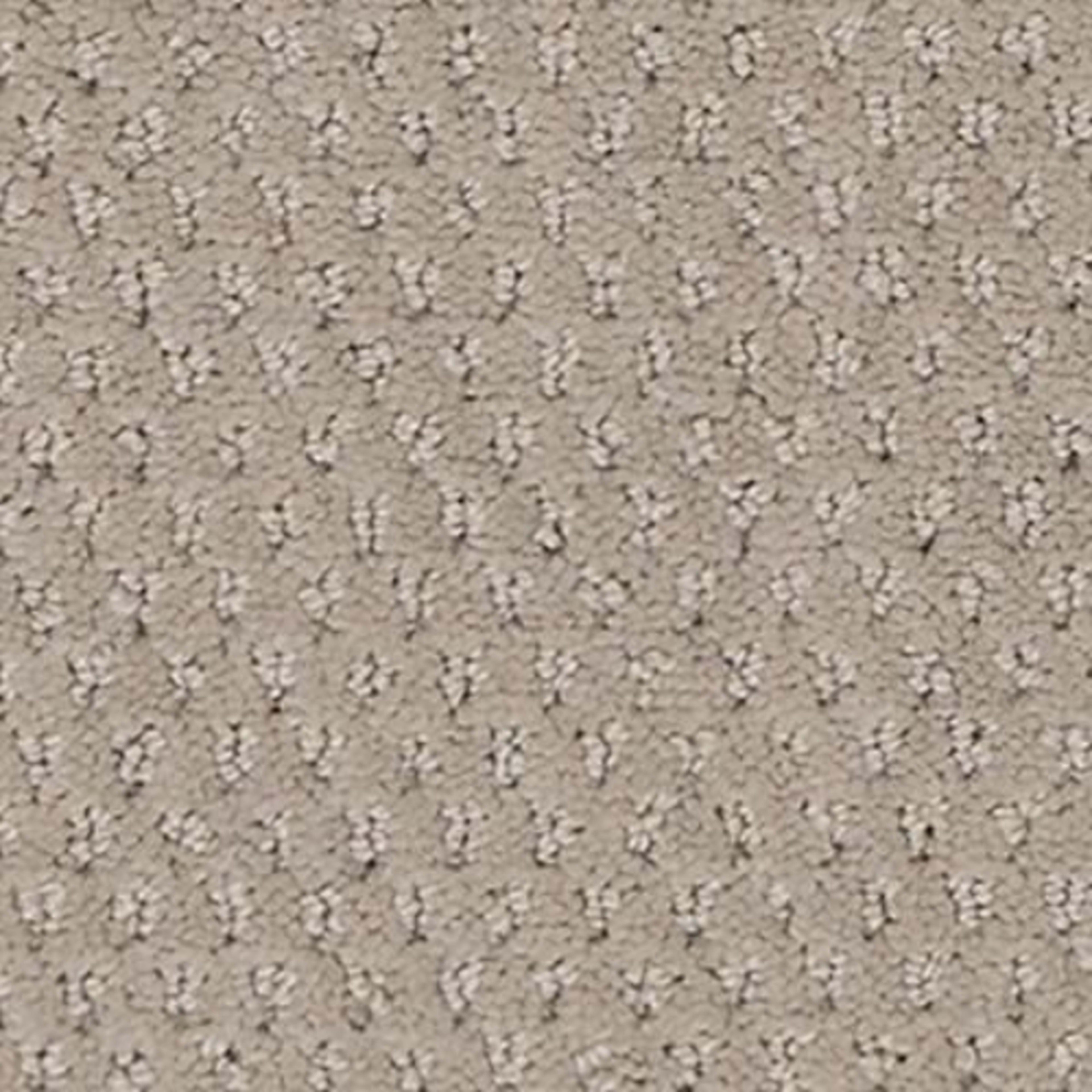 Dynamic Fusion in Spirited Carpet