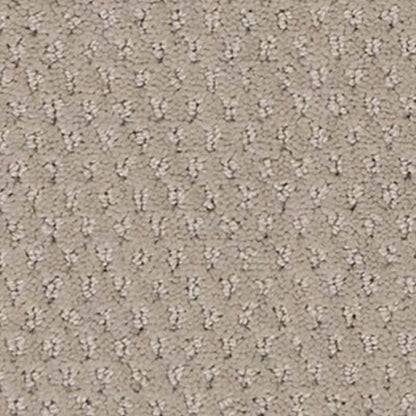 Dynamic Fusion in Spirited Carpet