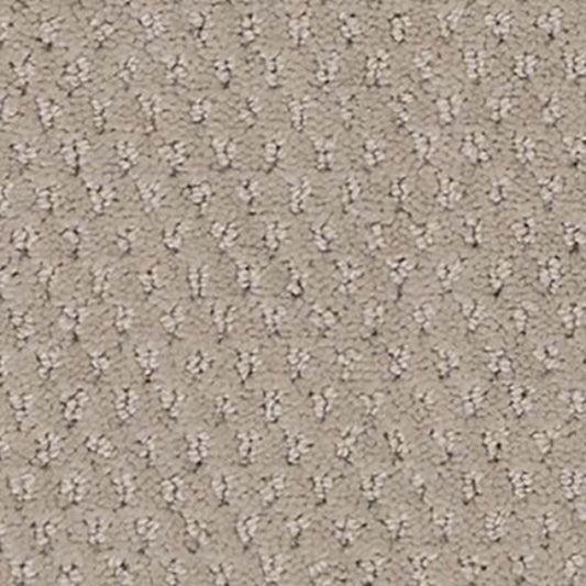 Dynamic Fusion in Spirited Carpet
