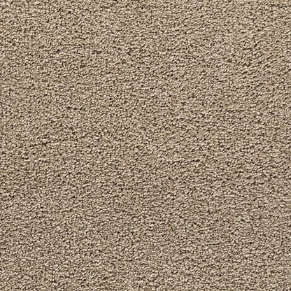 Inspiring Statement in Cape Cod Carpet