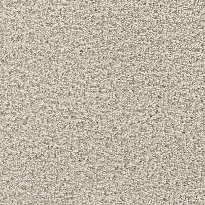 Thoughtful Charm in Stardust Carpet