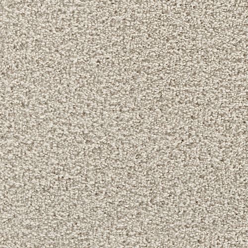 Thoughtful Charm in Stardust Carpet