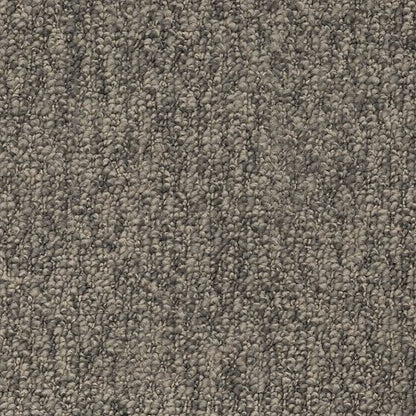 Cheerful Choice in Notion Carpet