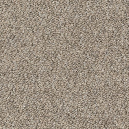 Inspiring Portfolio in Serenity             Carpet