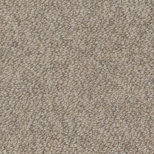 Inspiring Portfolio in Serenity             Carpet