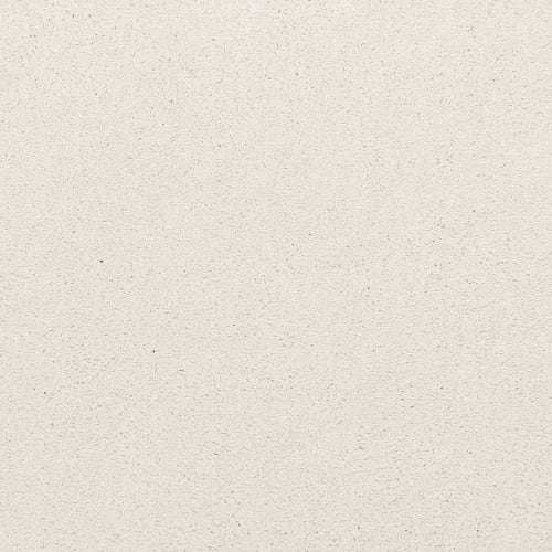 Noble Surface in Cameo Stone